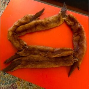 Vintage Mink Stole with 5 Heads – Timeless Elegance